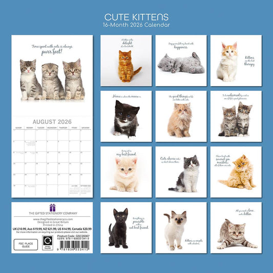 2026 Square Wall Calendar - Cute Kittens