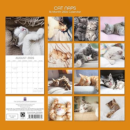 2026 Square Wall Calendar - Cat Naps