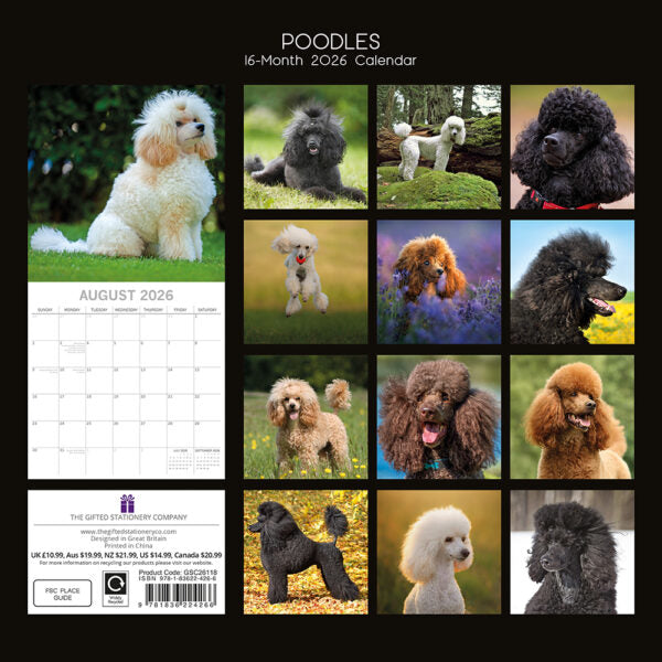 2026 Square Wall Calendar - Poodles
