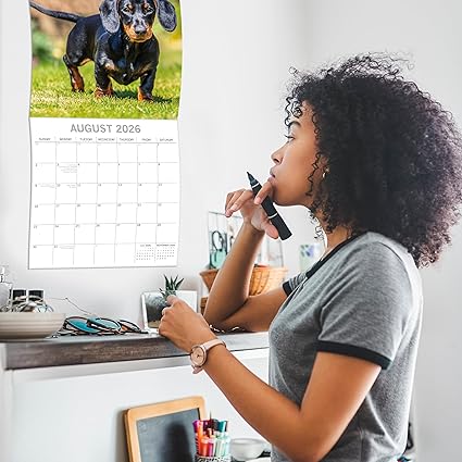 2026 Square Wall Calendar - Pugs