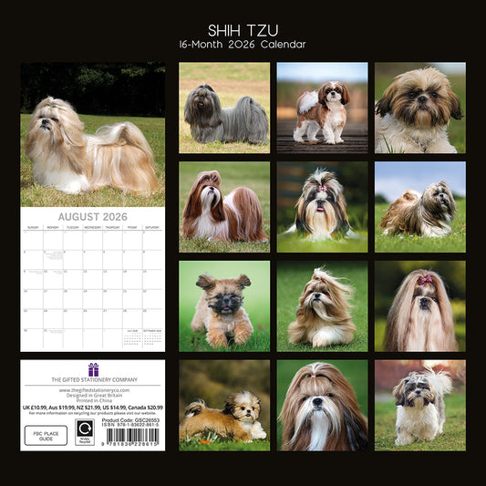 2026 Square Wall Calendar - Shih Tzu