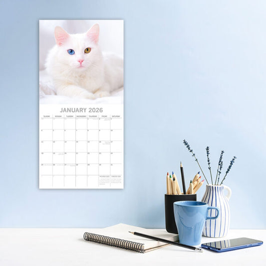 2026 Square Wall Calendar - Top Cats