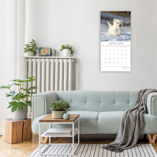 2026 Square Wall Calendar - West Highland White Terriers