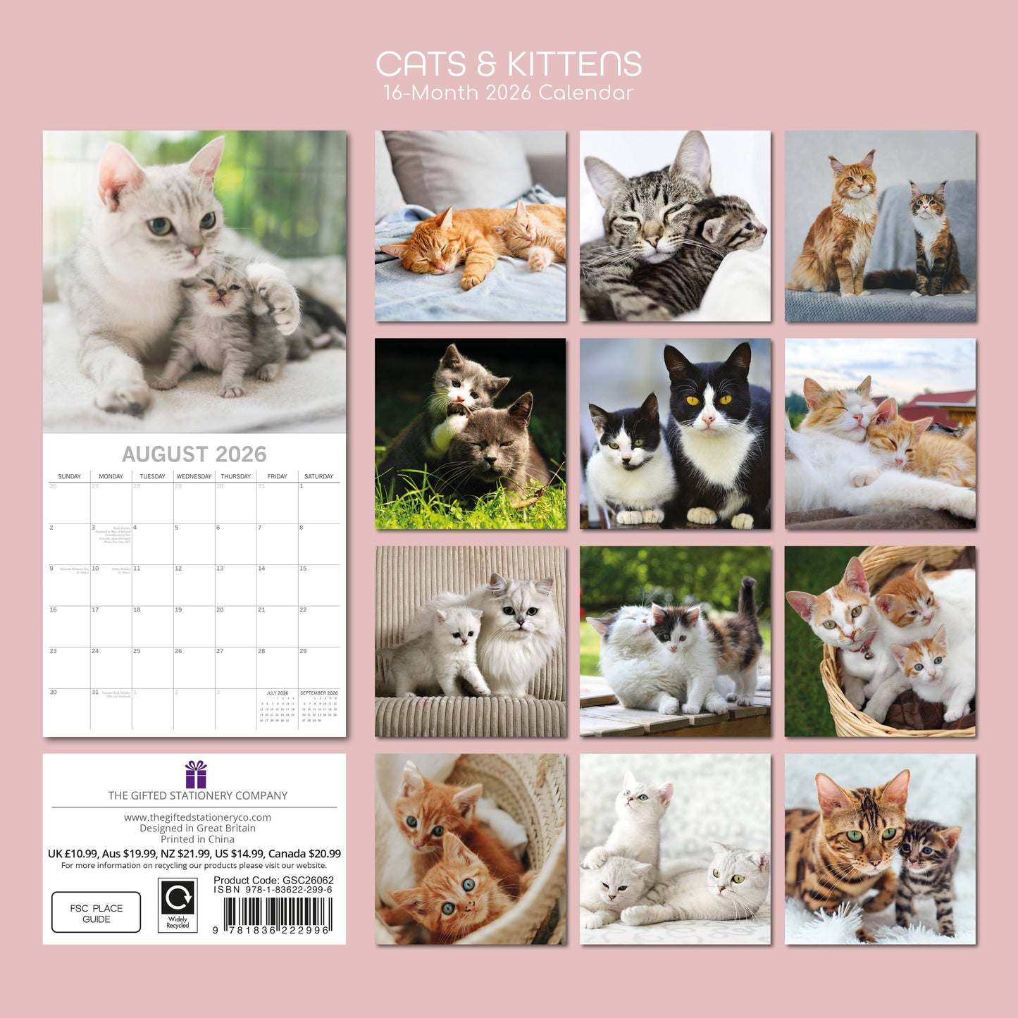 2026 Square Wall Calendar - Cats & Kittens
