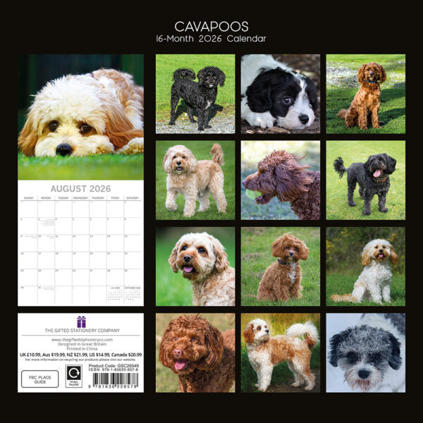 2026 Square Wall Calendar - Cavapoos