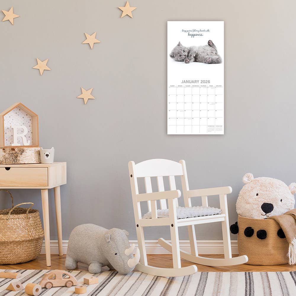 2026 Square Wall Calendar - Cute Kittens