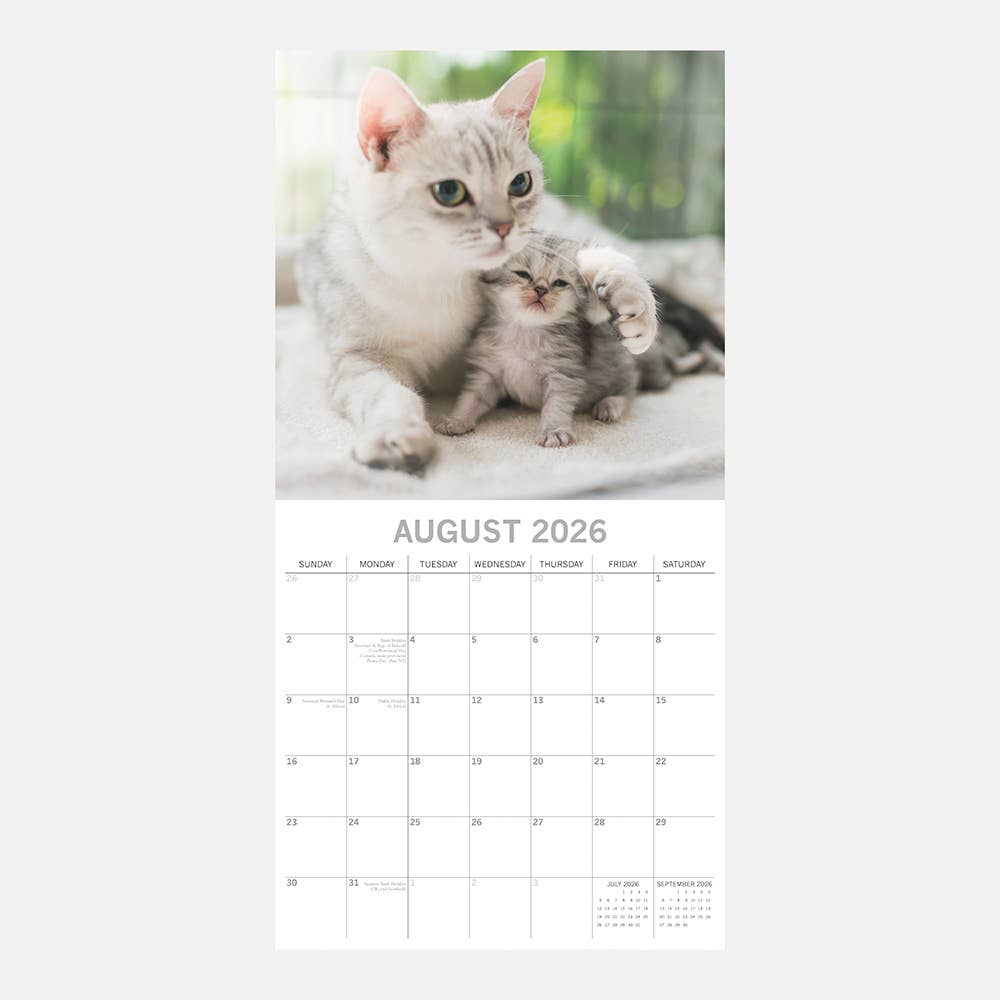 2026 Square Wall Calendar - Cats & Kittens