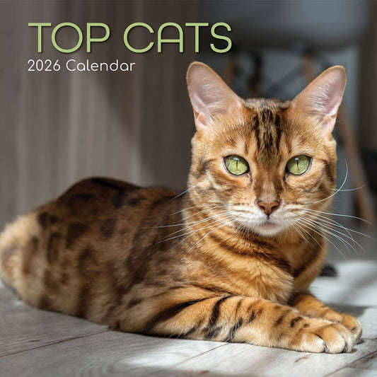 2026 Square Wall Calendar - Top Cats