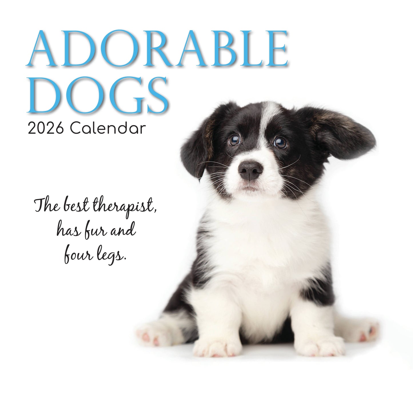 2026 Square Wall Calendar - Adorable Dogs