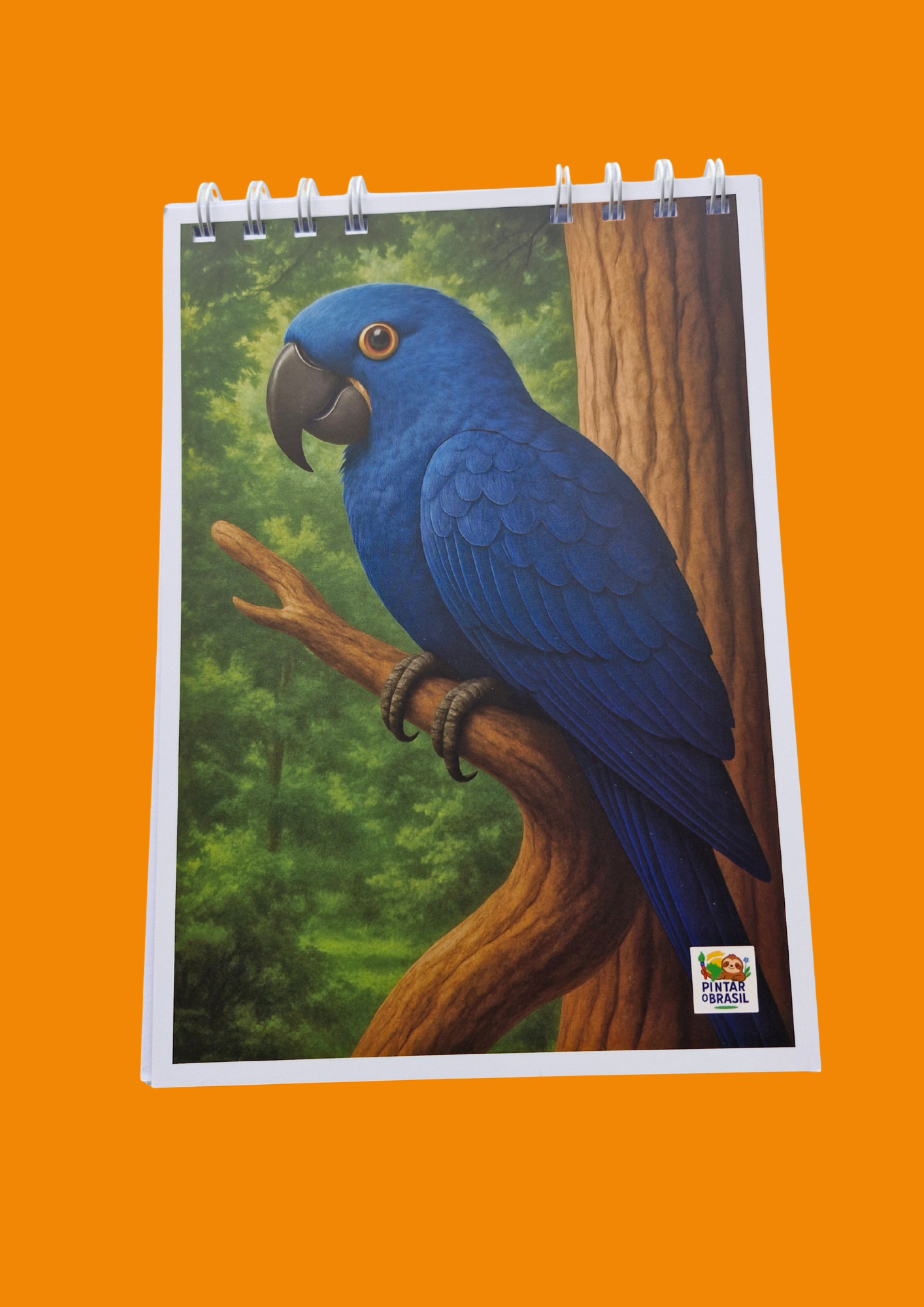 Notepad - Pintar o Brasil (Colouring Brazil) - Blue Macaw