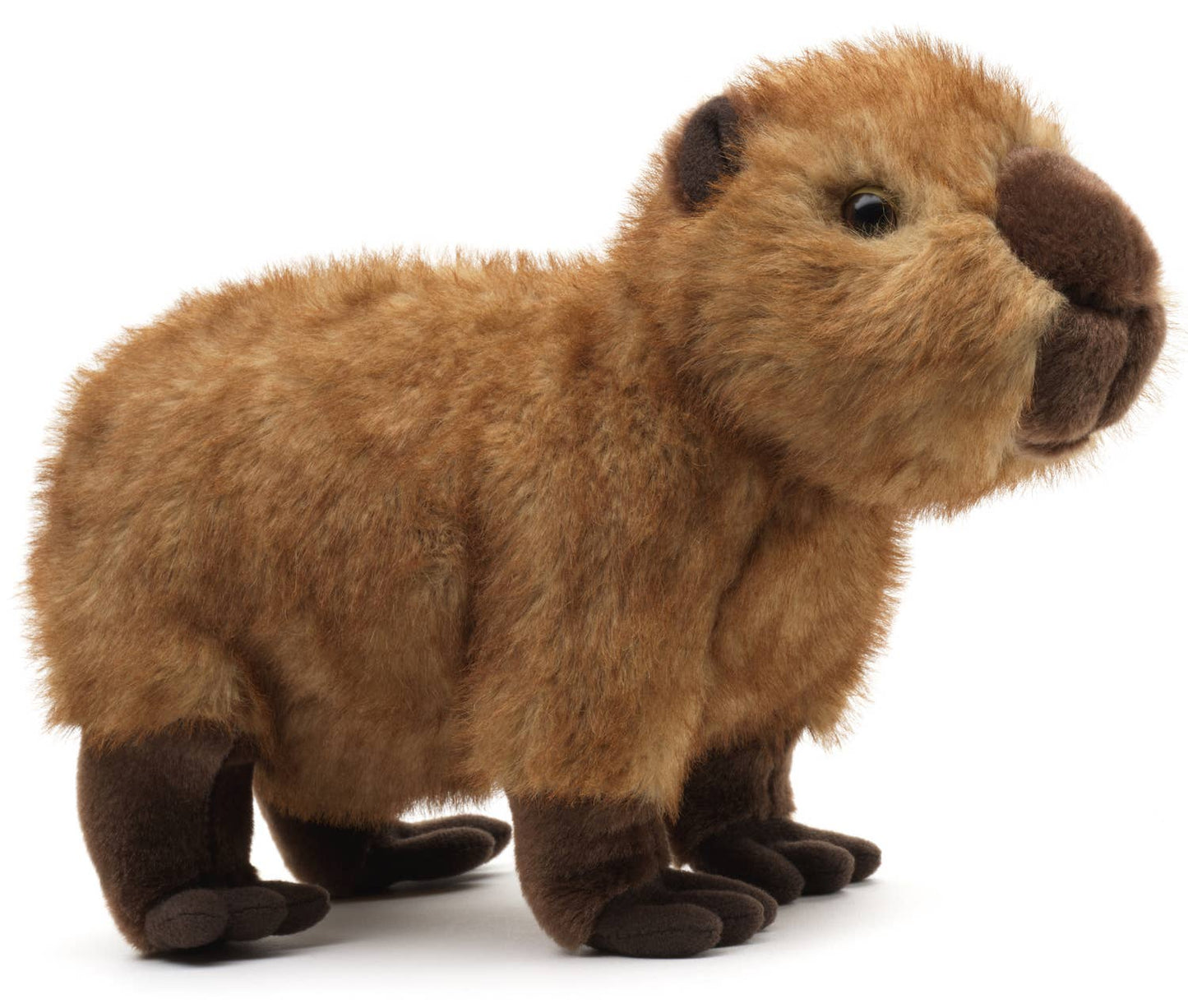 Capybara - 27 cm (length) - Cuddle/Plush toy