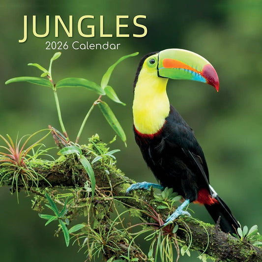 2026 Square Wall Calendar - Jungles