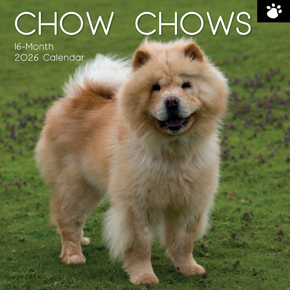 2026 Square Wall Calendar - Chow Chow