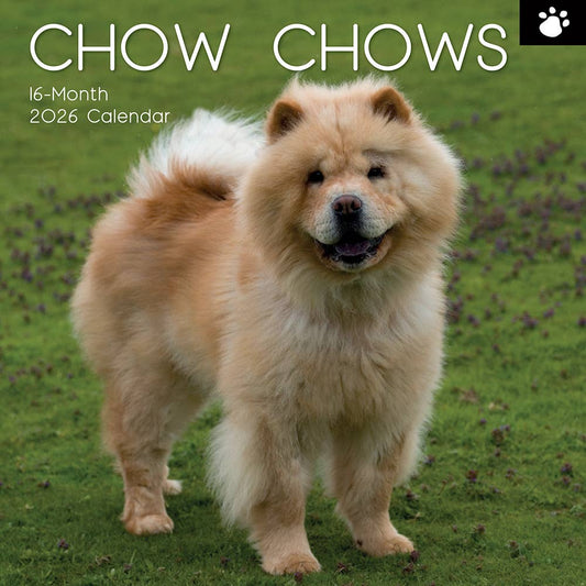 2026 Square Wall Calendar - Chow Chow