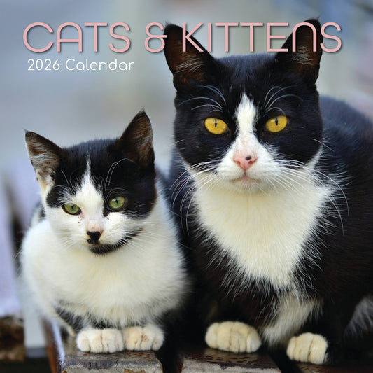 2026 Square Wall Calendar - Cats & Kittens