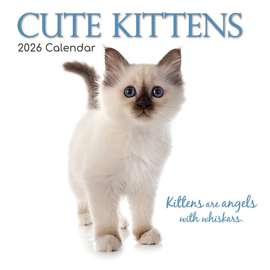 2026 Square Wall Calendar - Cute Kittens
