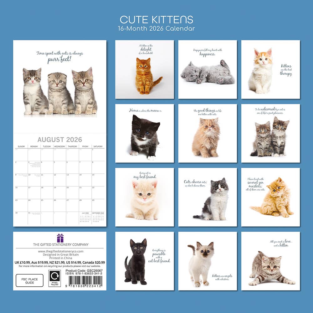 2026 Square Wall Calendar - Cute Kittens