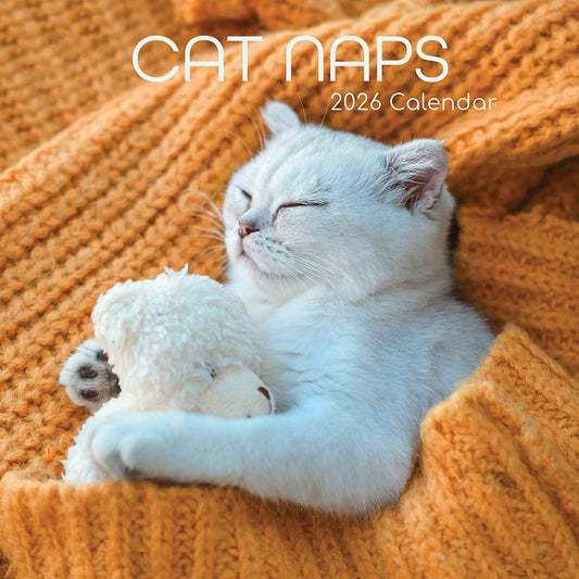 2026 Square Wall Calendar - Cat Naps
