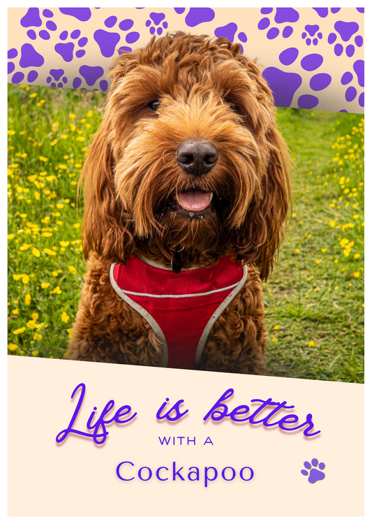 Notebook/Notepad (A5) - Dog - Cockapoo - Make a dog person smile!