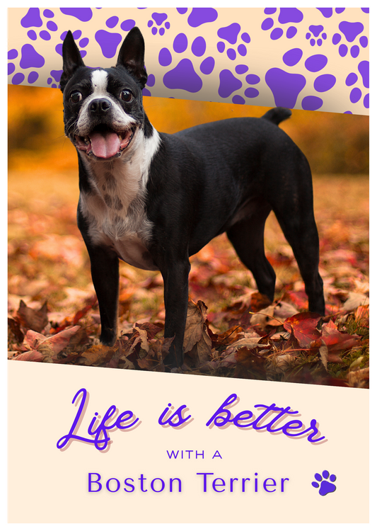 Notebook/Notepad (A5) - Dog - Boston Terrier - Make a dog person smile!