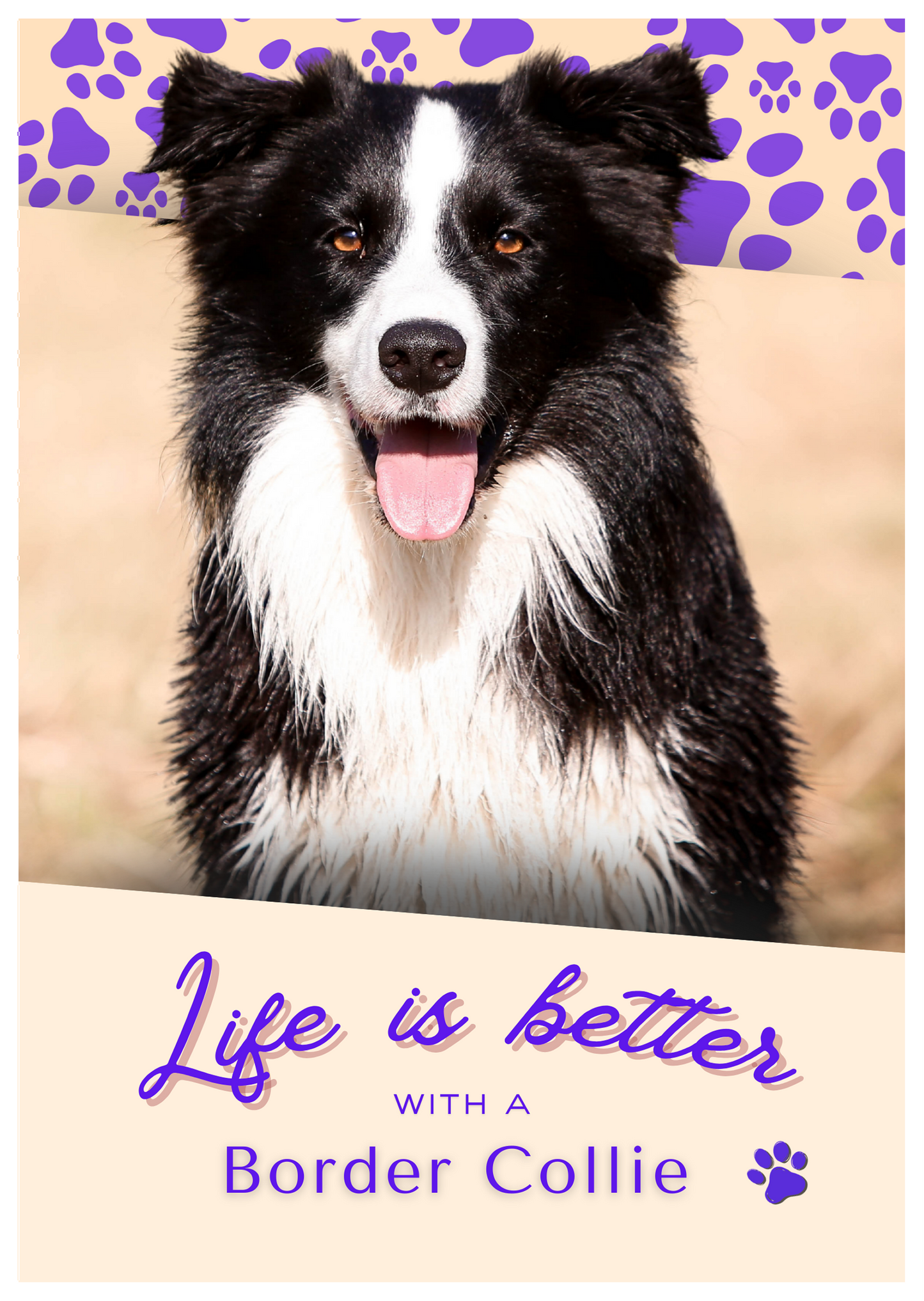 Notebook/Notepad (A5) - Dog - Border Collie - Make a dog person smile!