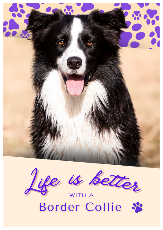 Notebook/Notepad (A5) - Dog - Border Collie - Make a dog person smile!