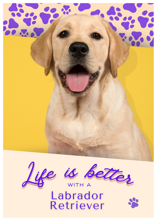 Notebook/Notepad (A5) - Dog - Labrador Retriever - Make a dog person smile!