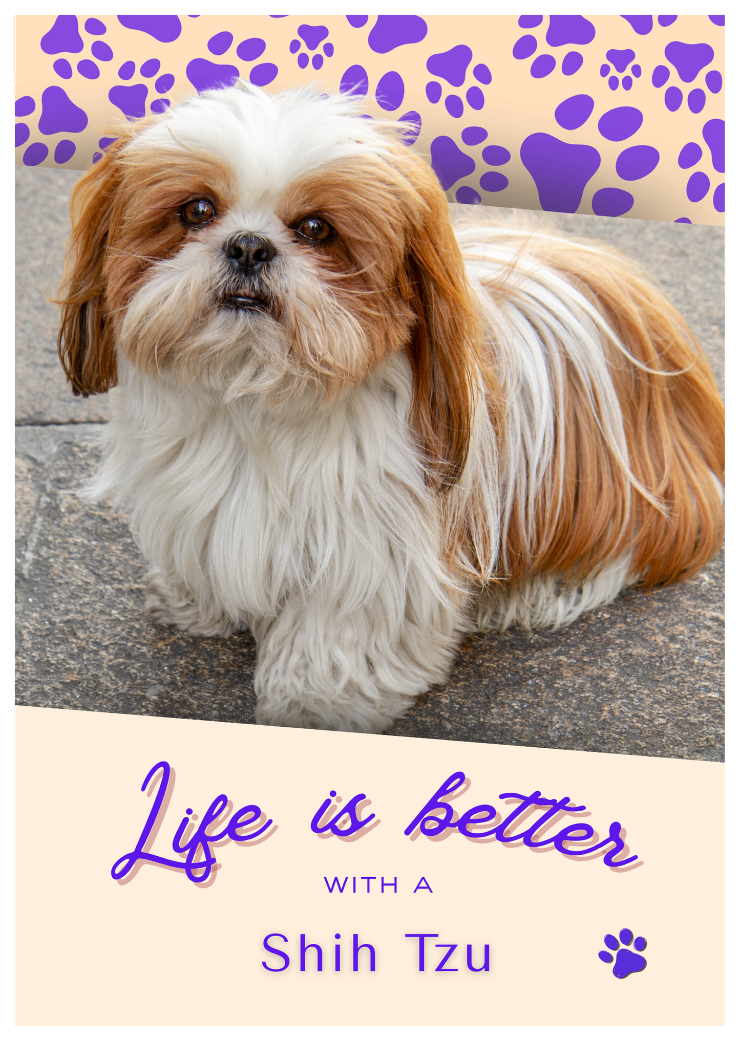 Notebook/Notepad (A5) - Dog - Shih Tzu - Make a dog person smile!