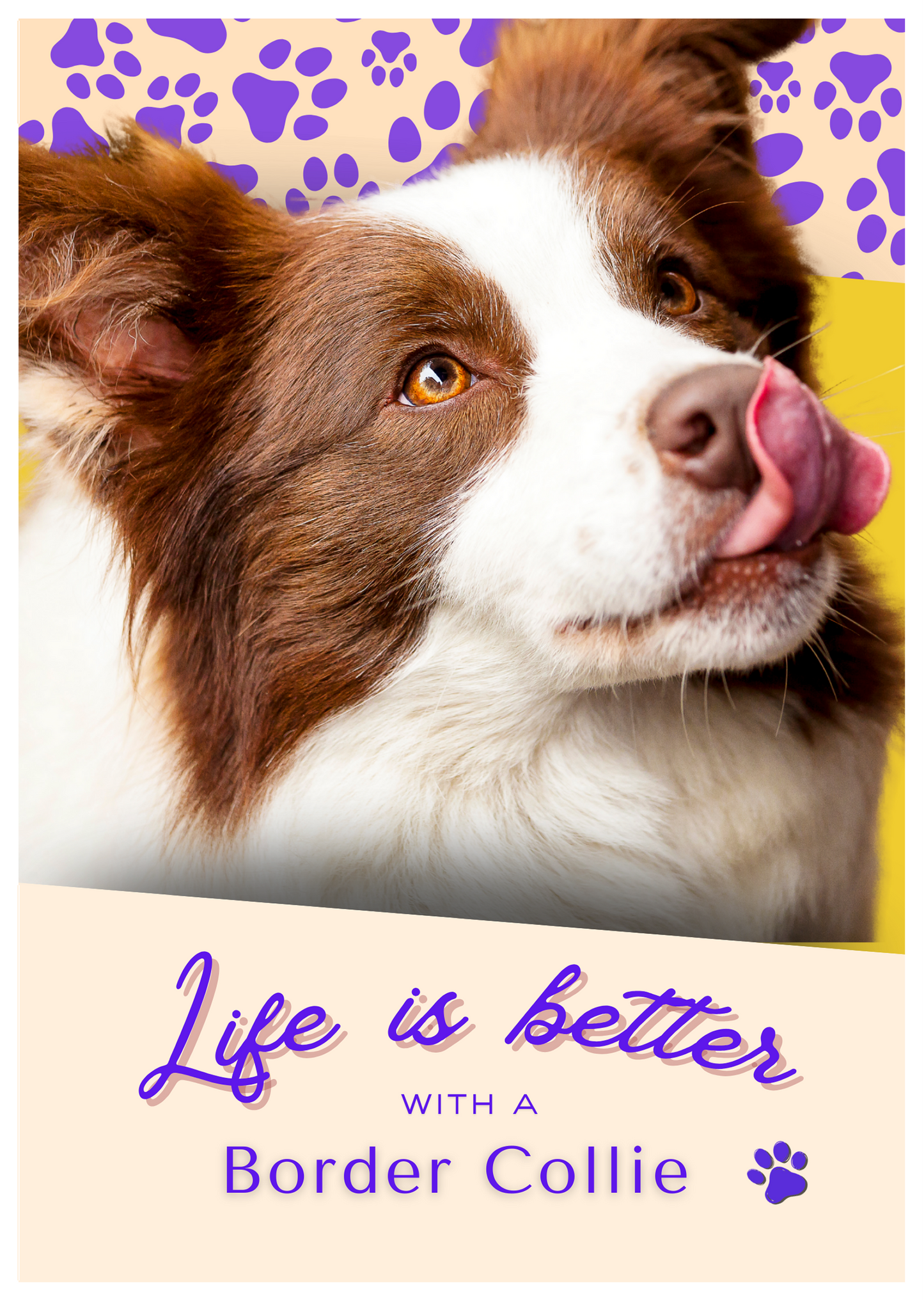 Notebook/Notepad (A5) - Dog - Border Collie 2 - Make a dog person smile!