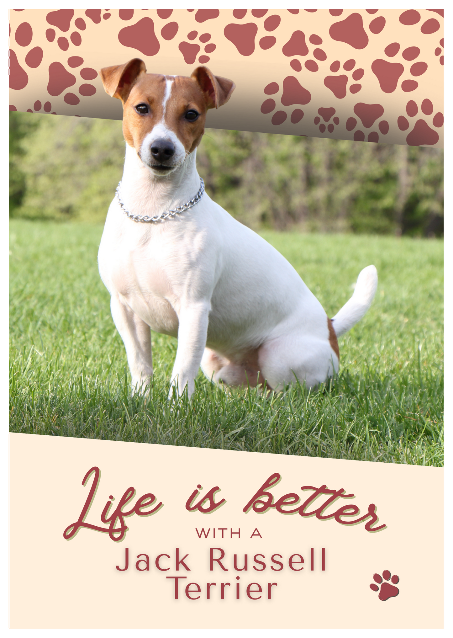 Notebook/Notepad (A5) - DOG - Jack Russell Terrier - Make a dog person smile!