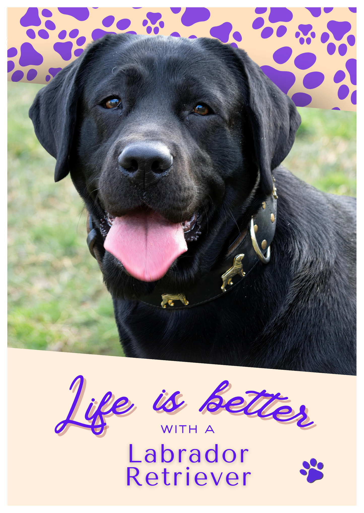 Notebook/Notepad (A5) - Dog - Labrador Retriever (2) -Make a dog person smile!