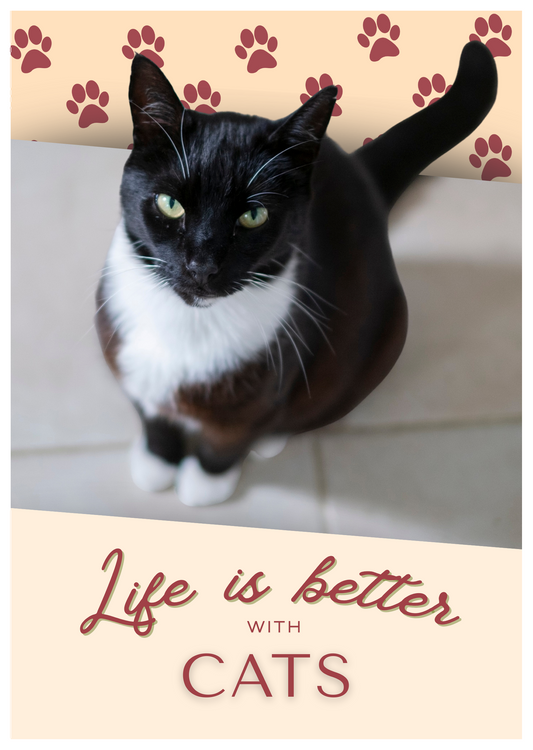Notebook/Notepad (A5) - CAT - Life is better with Cats 3 - Make a cat person smile!