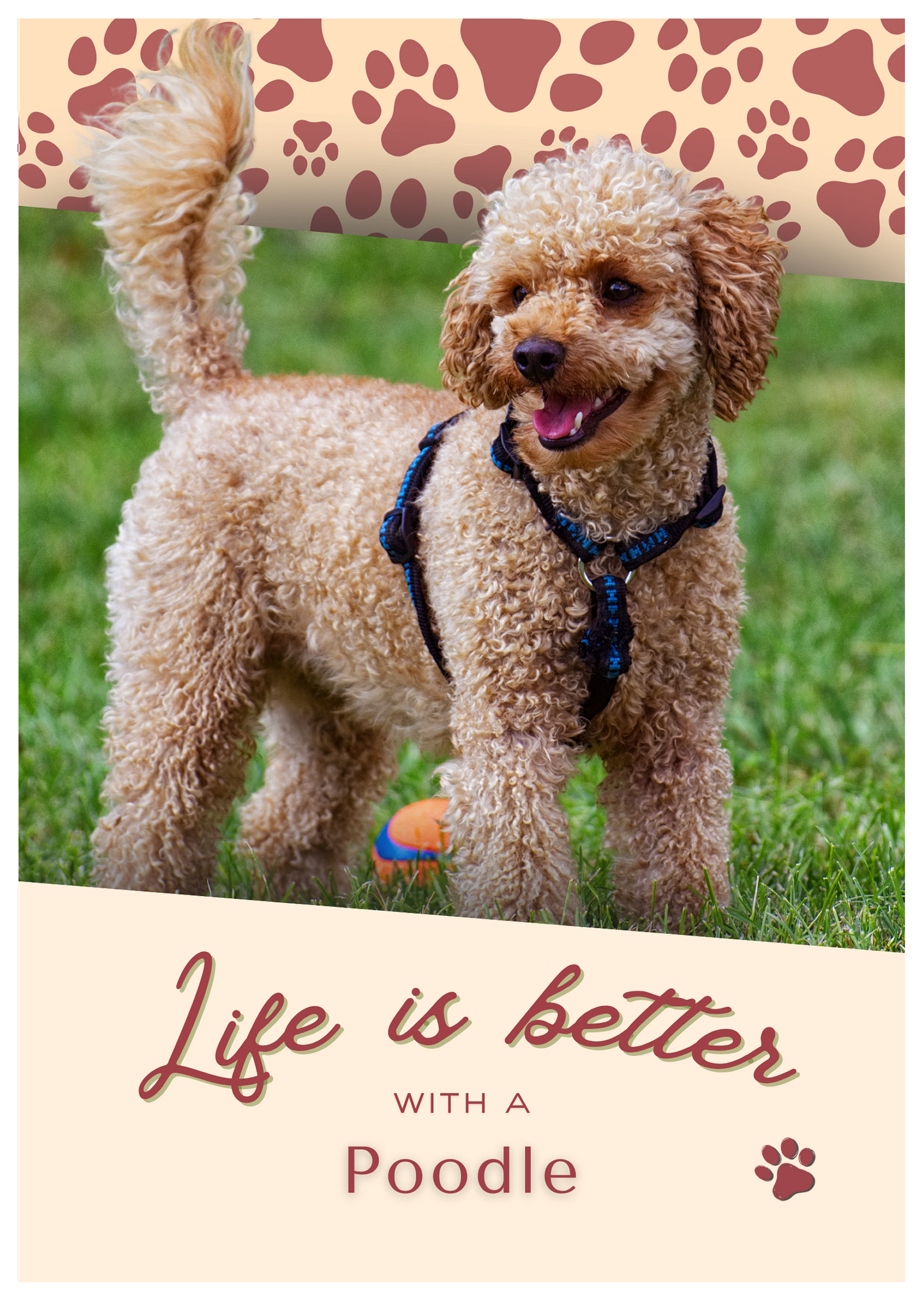 Notebook/Notepad (A5) - Dog - Poodle - Make a dog person smile!