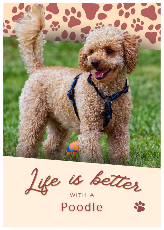 Notebook/Notepad (A5) - Dog - Poodle - Make a dog person smile!