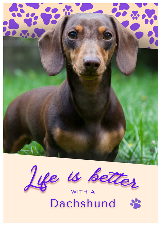 Notebook/Notepad (A5) - Dog - Dachshund - Make a dog person smile!