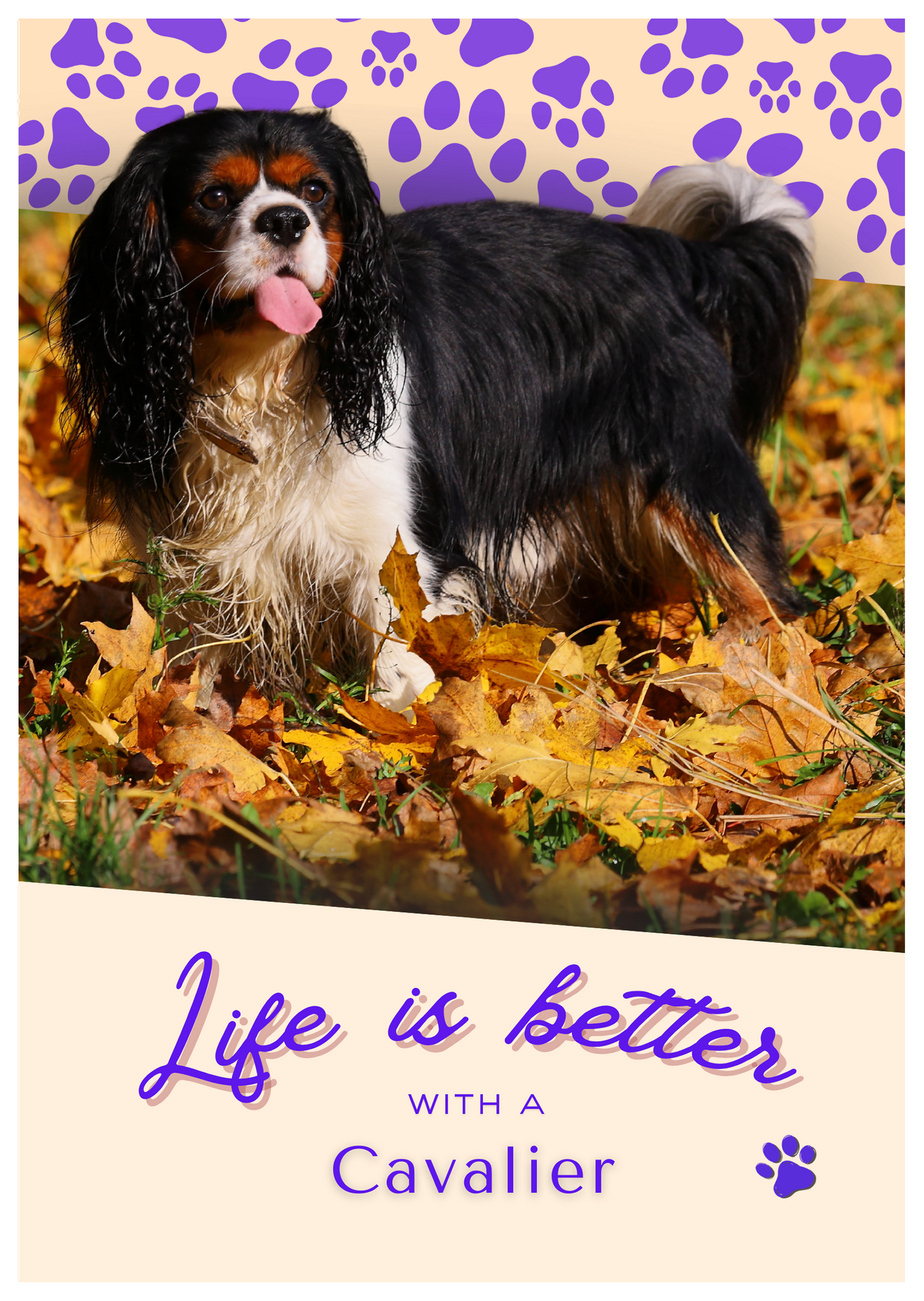 Notebook/Notepad (A5) - Dog - Cavalier - Make a dog person smile!