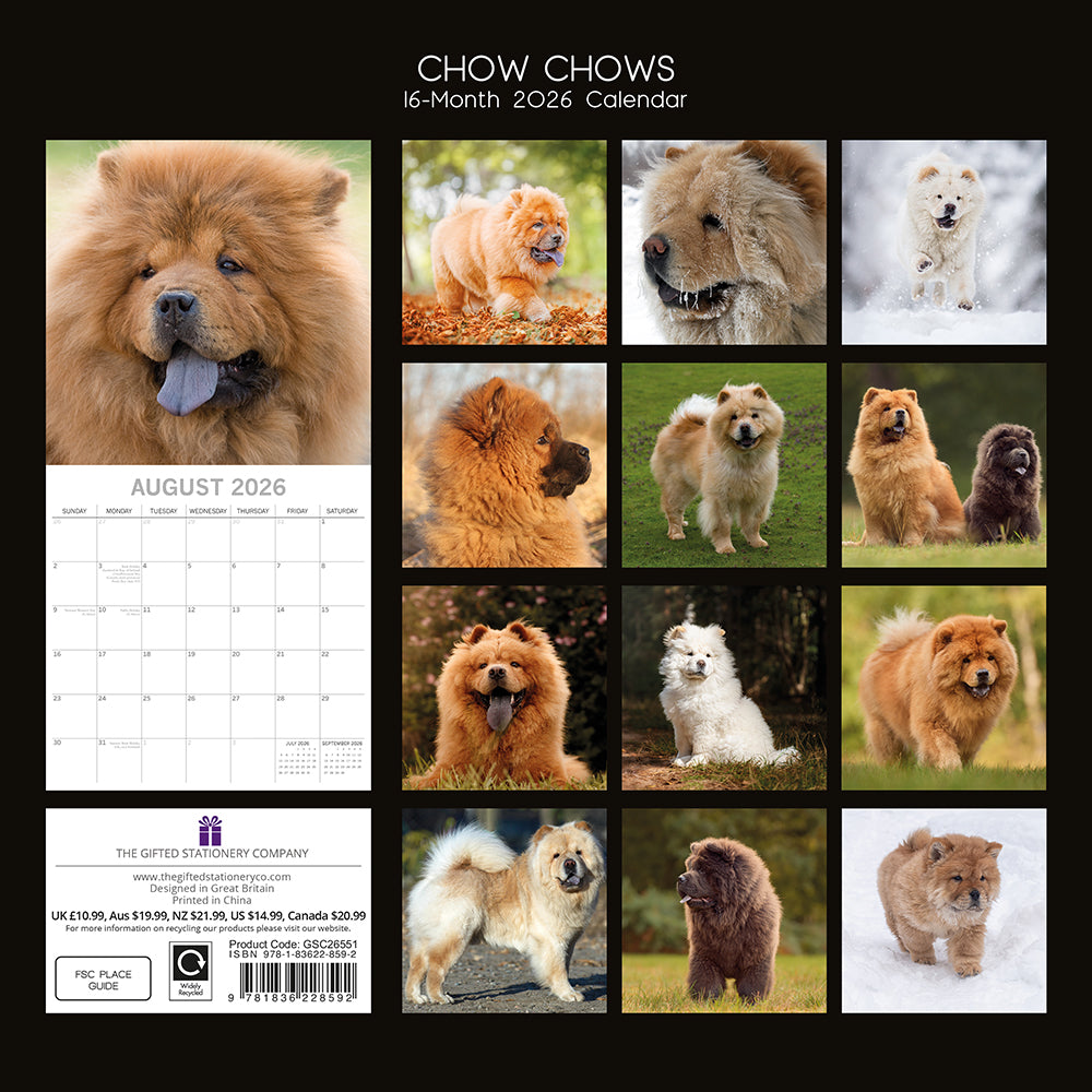 2026 Square Wall Calendar - Chow Chow