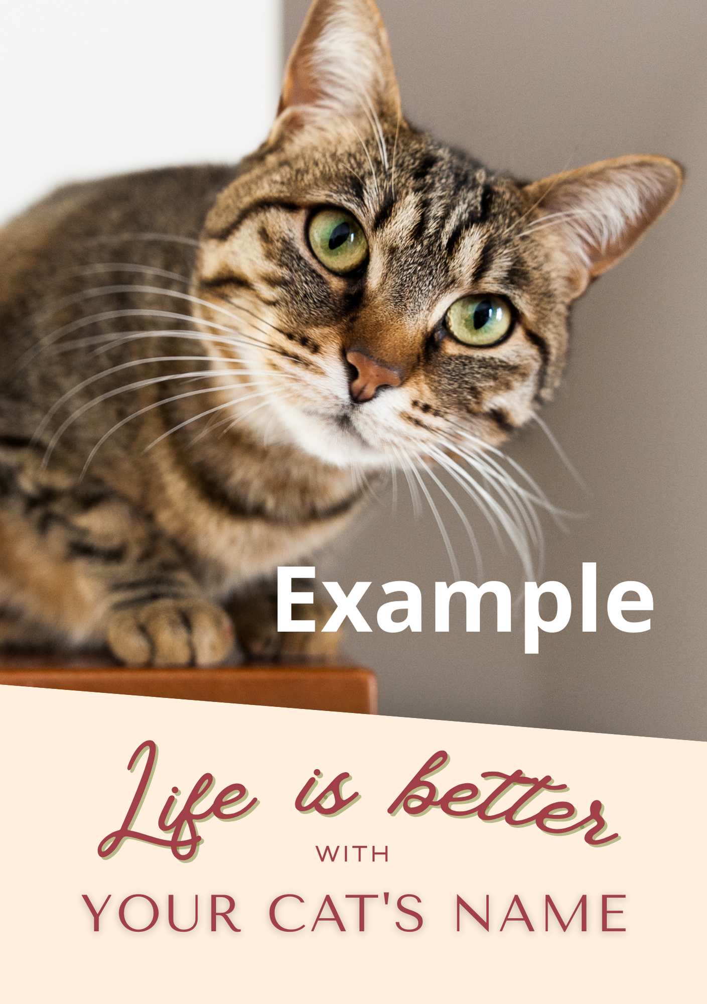 Personalised Photo Notebook (A5) - Life is Better With - Cat