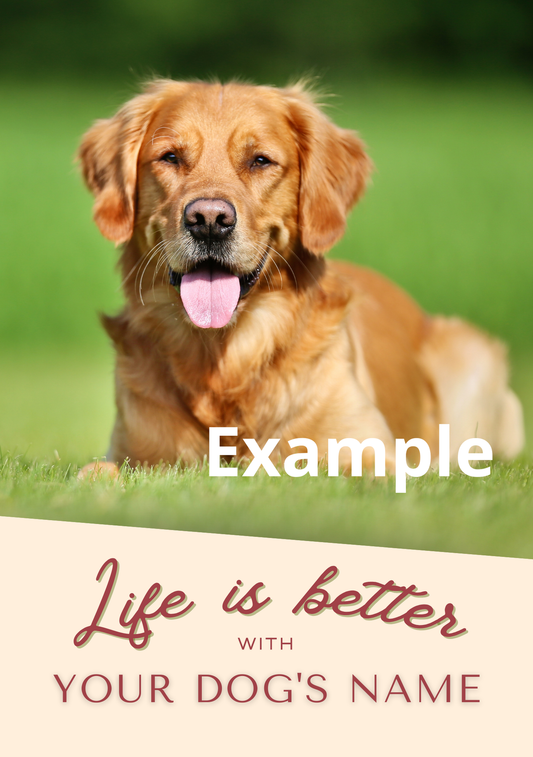Personalised Photo Notebook (A5) - Life is Better With - Dog