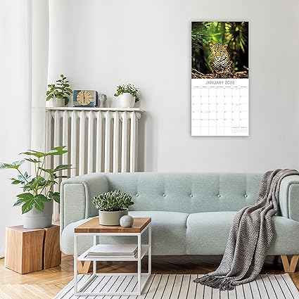 2026 Square Wall Calendar - Jungles