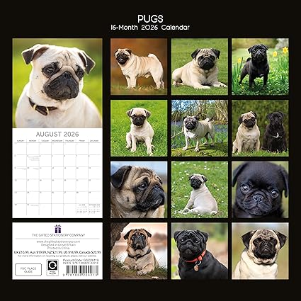 2026 Square Wall Calendar - Pugs