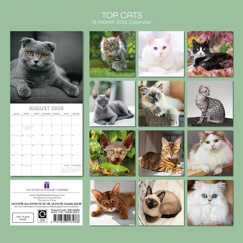 2026 Square Wall Calendar - Top Cats