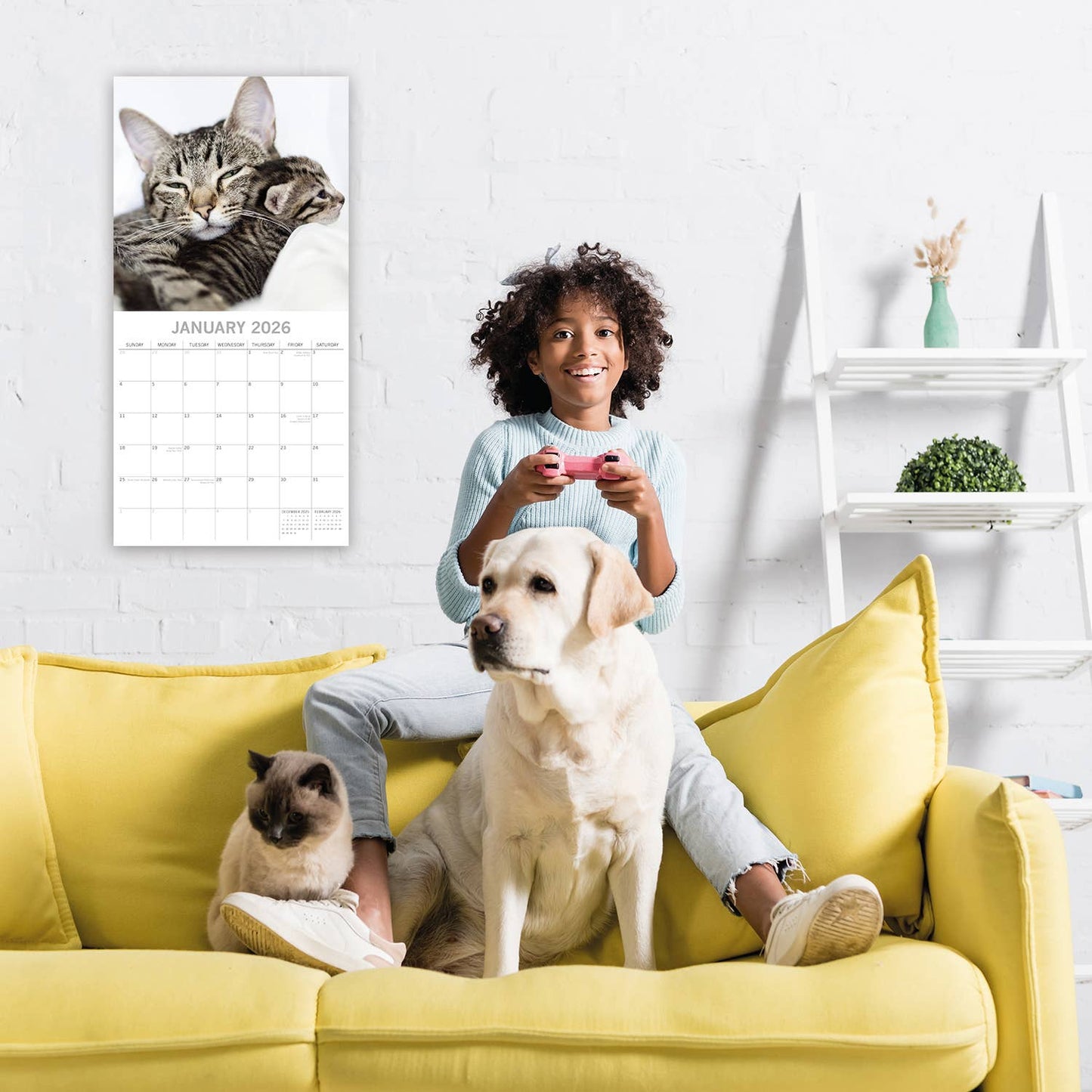 2026 Square Wall Calendar - Cats & Kittens