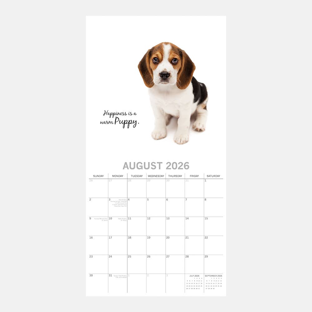 2026 Square Wall Calendar - Adorable Dogs