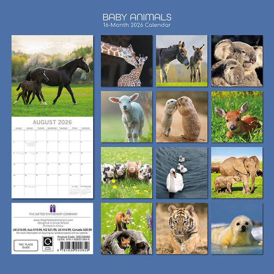 2026 Square Wall Calendar - Baby Animals