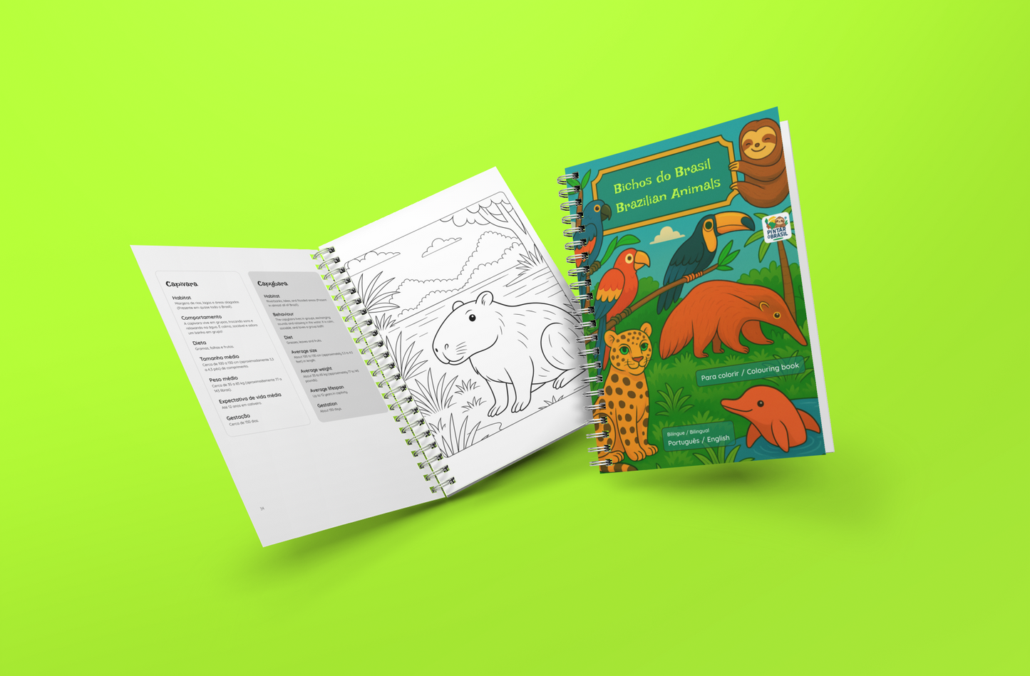 Bichos do Brasil - Brazilian Animals - Bilingual Colouring Book (Portuguese–English)